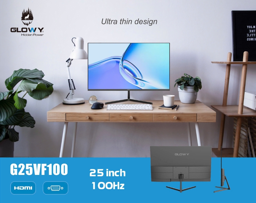 LCD 25" GLOWAY G25VF100